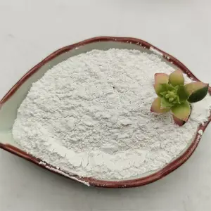 1250目白色滑石粉 橡胶涂料陶瓷用 白度高工业级材料