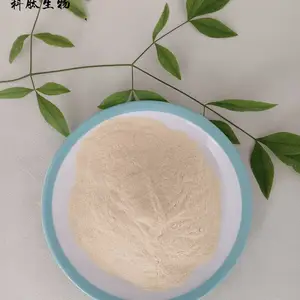 大豆蛋白粉 氨基酸大豆蛋白 全水融大豆蛋白营养粉