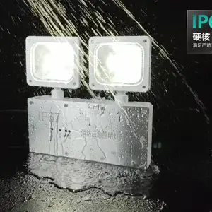 IP67防水应急照明灯led不锈钢面板双头灯隧道冷库双头照明应急灯