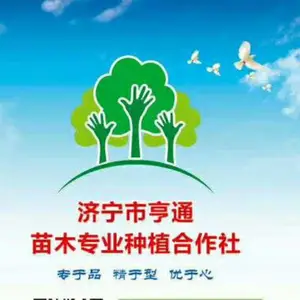 济宁市任城区亨通苗木种植专业合作社
