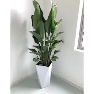闵行区租赁小常识 值得信赖 上海鑫武景观绿化供应