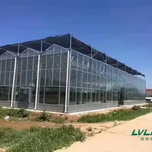 文洛式玻璃温室