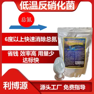 利博源低温反硝化菌种6度低温降COD降总氮污水处理微生物
