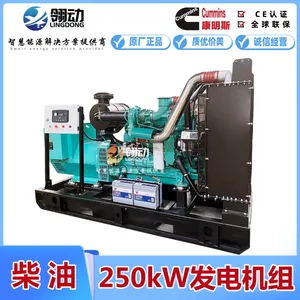 �й����翵��˹250kWǧ�߲��ͷ������ �ȶ��Ժ��;�����������