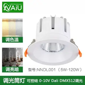 100WͲ�� 10��׿�250mm ������100WLEDͲ��