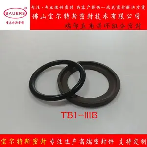 端面高压静密封C型滑环式组合密封TB4-IIIB车氏密封