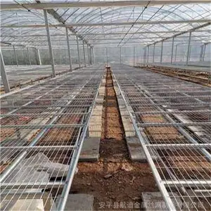 移动苗床提高了温室大棚的利用面积 移动苗床定制