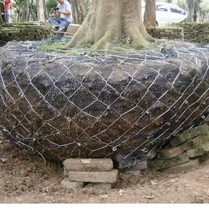 树根网 土球网 园林移植专用铁丝网 包土球专用铁丝网