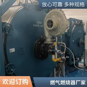 岱鼎燃烧 烤漆烘干房RTO炉裂解气生物质气天然气燃烧机源头厂家