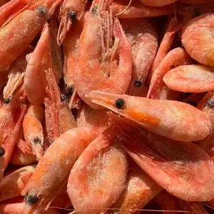 北极头籽甜虾 熟冻即食 深海船冻 饱满带籽冰虾海鲜