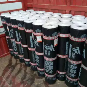 ������Ƥ�ص�����SBS��ˮ���Ĺ���ͺ�