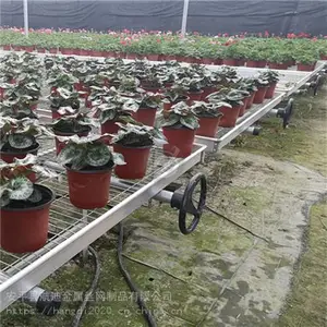 �߲˴������紲����-�ƶ�ʽ�紲������֮���鶯����