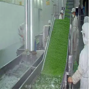 ����������ϴ�� Ҷ����ϴ�豸 �����ˮ�� ������ϴ�� רҵ�����̼�