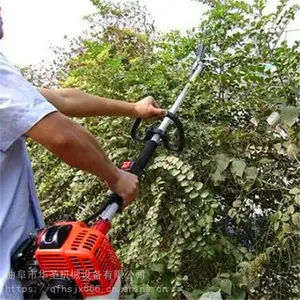 ��ũ��֦��Ҷ���� ��ľ�޸�֦�����;� ��֦��ͼƬ