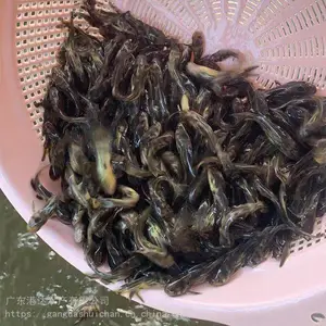 �۴�ˮ����ֳ���ŵ�ˮ�ƹ����� ������������������_������