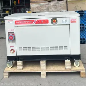 ����˹24KW������Ȼ��������� ��������Ȼ������� ���ȱ��ȼ�������