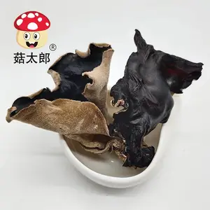 ��̫���޸� ëľ���ɻ� �ױ���ľ�� ��ľ�� ������ױ�ľ���ɳ����ձ�