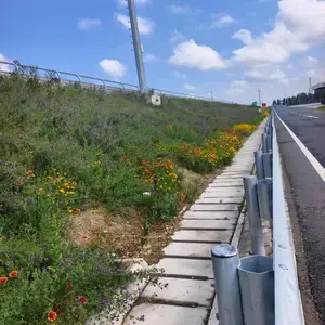 边坡绿化工程施工队 团粒喷播挂网植草 山坡绿化工程 高速绿化 成都