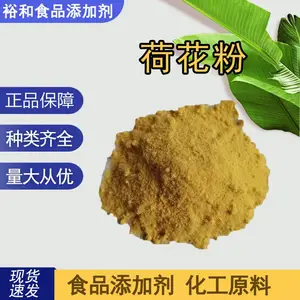 荷花粉 浓缩粉 破壁萃取 120目多规格 食品级原料
