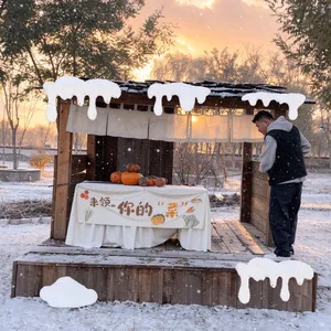 大连雕塑工厂 假雪雕塑 圣诞节雕塑 雪屋雪人 室内外均可