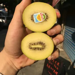 黄心猕猴桃树黄金果苗金艳猕猴桃果苗金桃奇异果嫁接猕猴桃树苗