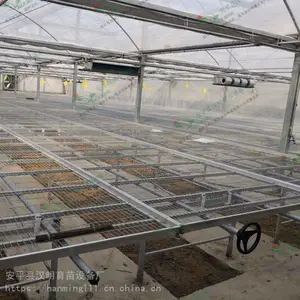 温室潮汐式苗床-大棚蔬菜移动苗床-水肥90%利用率