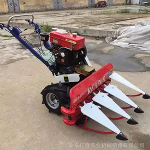 ����ʽ�������ո�� �����֦����ɹ�� «έ�������