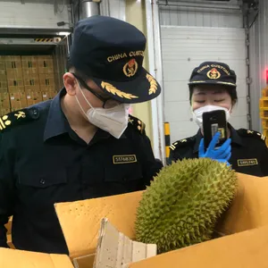 泰国榴莲进口南沙港报关丨榴莲进口清关流程丨所需单证资料费用
