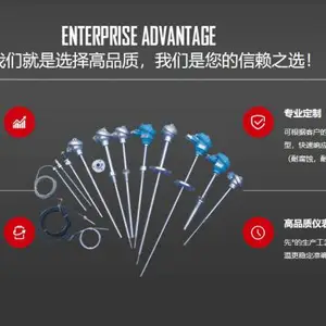 国产热电偶 温度传感器定制 K型 铠装 PT100 WRPB-2