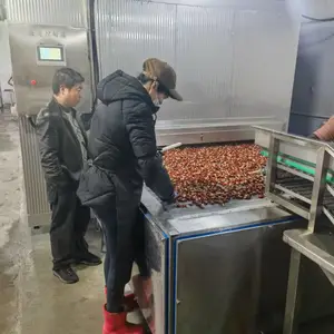 隧道速冻机 速冻流水线 海鲜 牛肚 肉丸 鱼丸 牛排 调理食品速冻设备