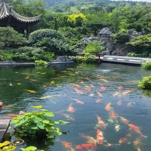 江苏新建鱼池庭院鱼池上门勘测 诚信服务 上海溪留锦生态园林工程供应