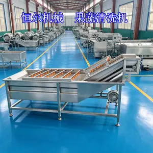 叶菜类果蔬清洗机高压喷淋气泡清洗机三七浸泡鼓浪清洗机