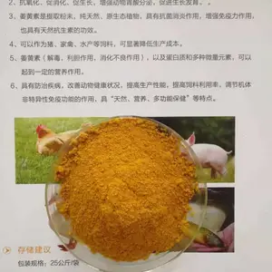 饲料姜黄粉 水产 猪 家禽饲料 姜黄素 饲料载体 饲料填充物