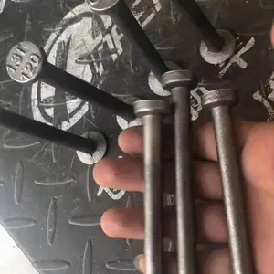 ���� Բͷ����װ��ʽԤ�ƹ��� ����Ѽ���í������T�͵�����