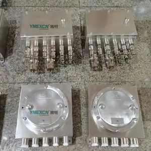 304����ַ�������� ��������ģ���� IIB/IIC����������䶨��