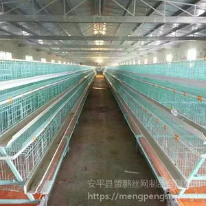 供应自动化肉鸡笼 养鸡笼子安装价格 笼养鸡舍全套设备