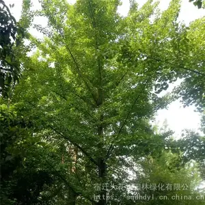�ؾ�20�����������۸� ���� ���ɻ���