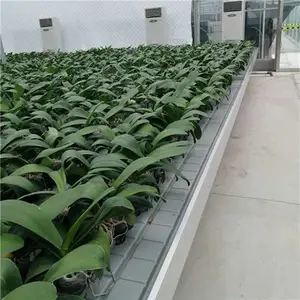 农用潮汐苗床-大棚潮汐苗床-温室资材厂