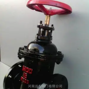 �������˷���բ��Z41T-16 ����Զ�����ų�