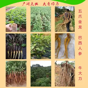 平南县大珍林生态种养专业合作社