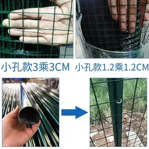 �ӱ��������Ӵ���ֳ��˿��ũ�����������п���� רҵ����