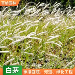 ���� ɽ���̻������������� ԰�ֻ�̳�ر��̻������Թ�Ӧ