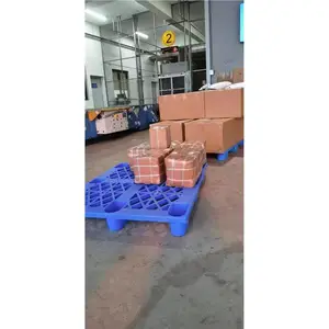 ������������������� �������ֽ��