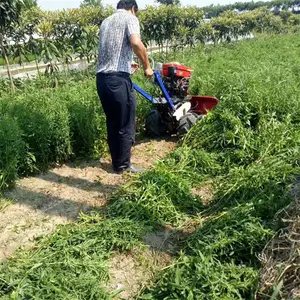四层链条拨料割草机 耕畜饲料青秸秆收割机 华圣割晒机