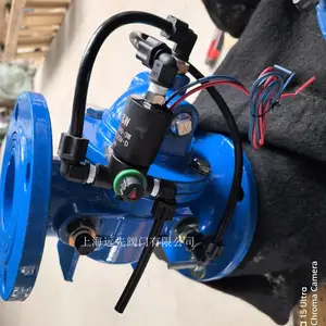 远先2506F电磁隔膜阀DN65 PN16法兰连接电磁排污阀电压220V耐压10公斤