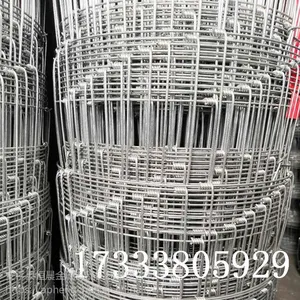 热镀锌牛栏网A广东热镀锌牛栏网A热镀锌牛栏网厂家现货