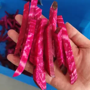 �����ж��� �����п�� �ܲ������� �����������
