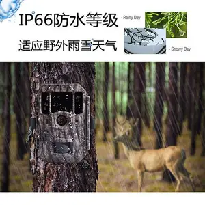BG662Mȫ����4KͨѶ��