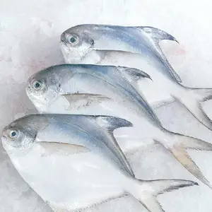 ����ˮԡʽ�����ⶳ���䶳��Ѽ������ӵȸ������ຣ��Ʒ�ⶳ�������ص�