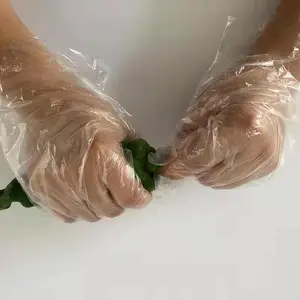 一次性PE手套 食品级透明 检查手套1000只装
